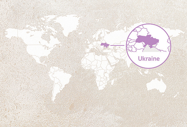 Weltkarte mit Highlight Ukraine