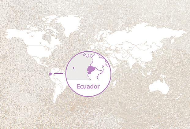Weltkarte mit Highlight Ecuador